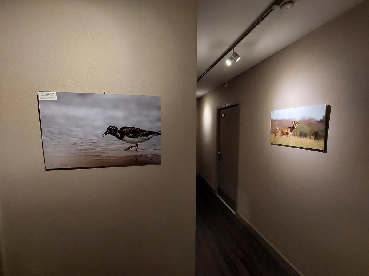 Logis Hotel - Les Pasteliers لافاور